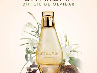 So elixir ив роше