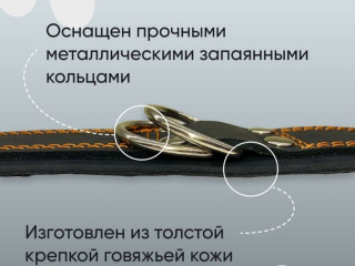 Кожаный Ошейник для собак средних/больших пород