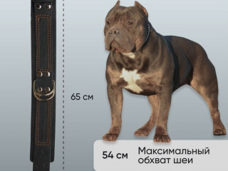 Кожаный Ошейник для собак средних/больших пород