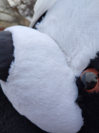 panda-5-180sm-big-0
