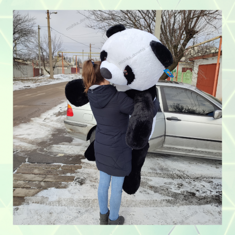 panda-5-180sm-big-1
