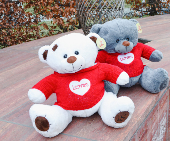poyusevyi-miska-loves-50sm-big-0