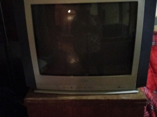 Телевизор "LG"54 см.