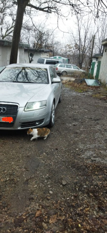 prodam-avto-na-uverennom-xodu-big-0