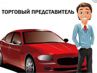 Требуется торговый представитель с авто