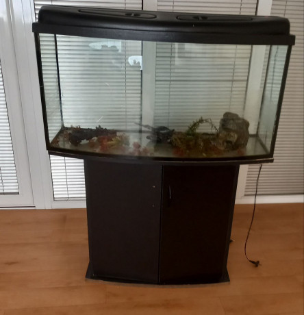 akvarium-s-tumboi-big-0