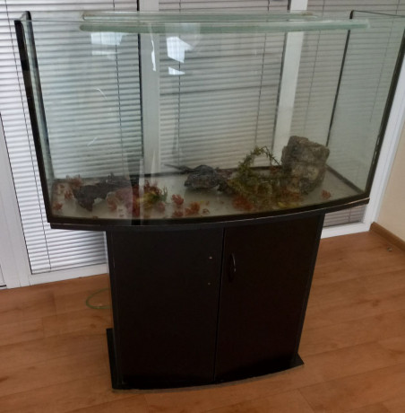 akvarium-s-tumboi-big-1