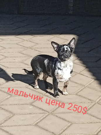 cixuaxua-malciki-i-devocki-big-8