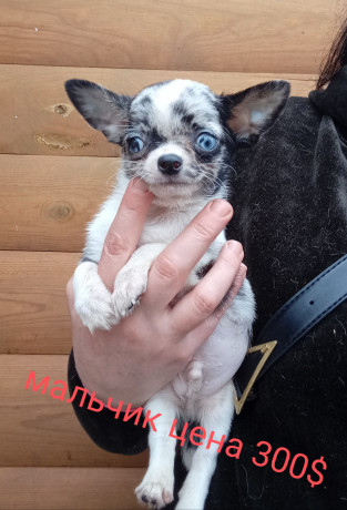 cixuaxua-malciki-i-devocki-big-7