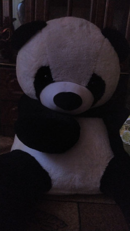 medved-bolsaya-panda-big-1