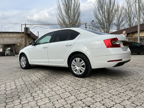 skoda-octavia-2018-avtomat-big-6