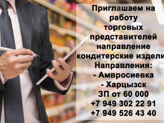 Торговый представитель